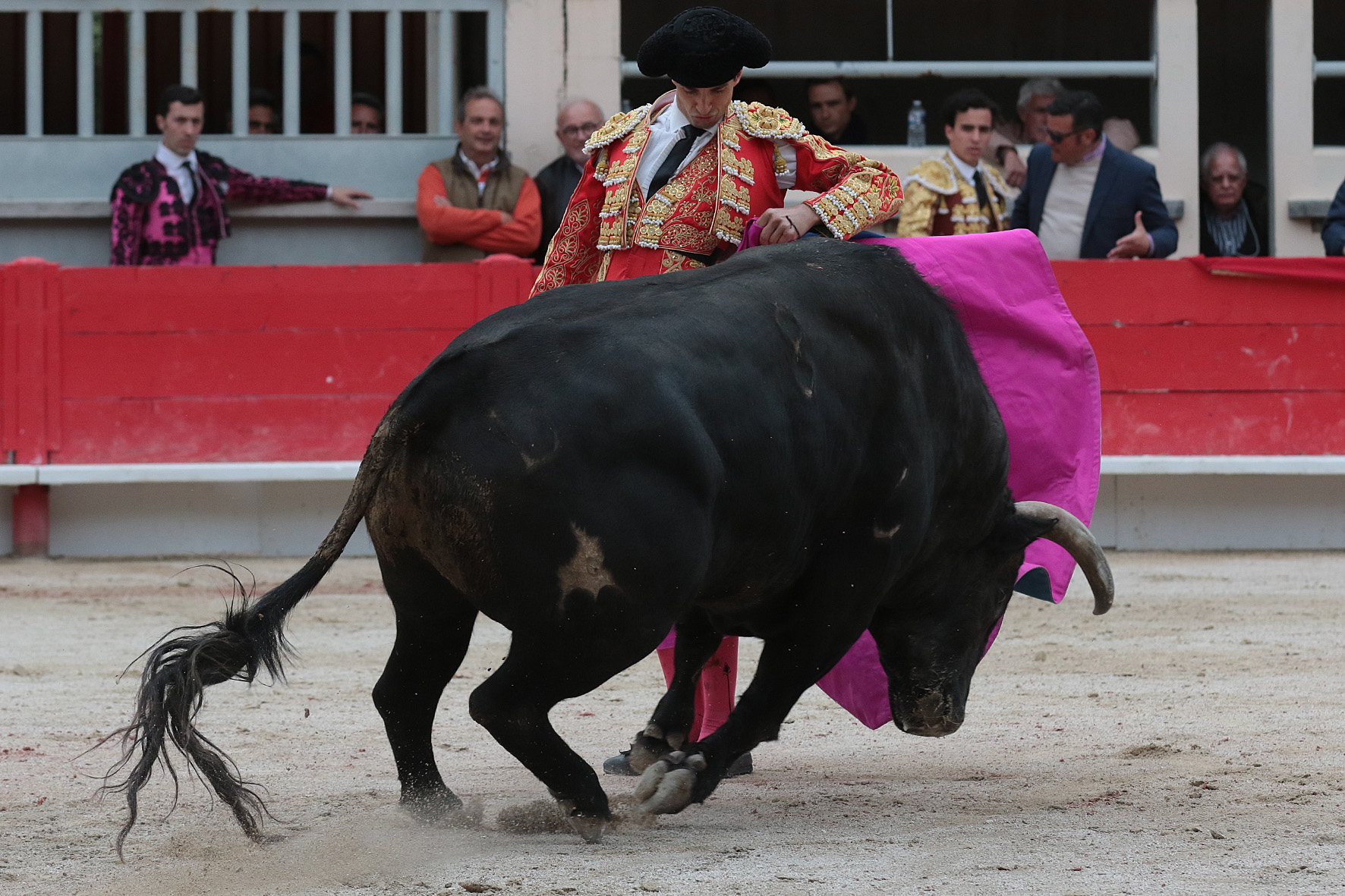 Saint Martin de Crau (Francia), martes 1 de mayo de 2018