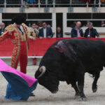 Saint Martin de Crau (Francia), martes 1 de mayo de 2018