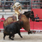 Saint Martin de Crau (Francia), martes 1 de mayo de 2018