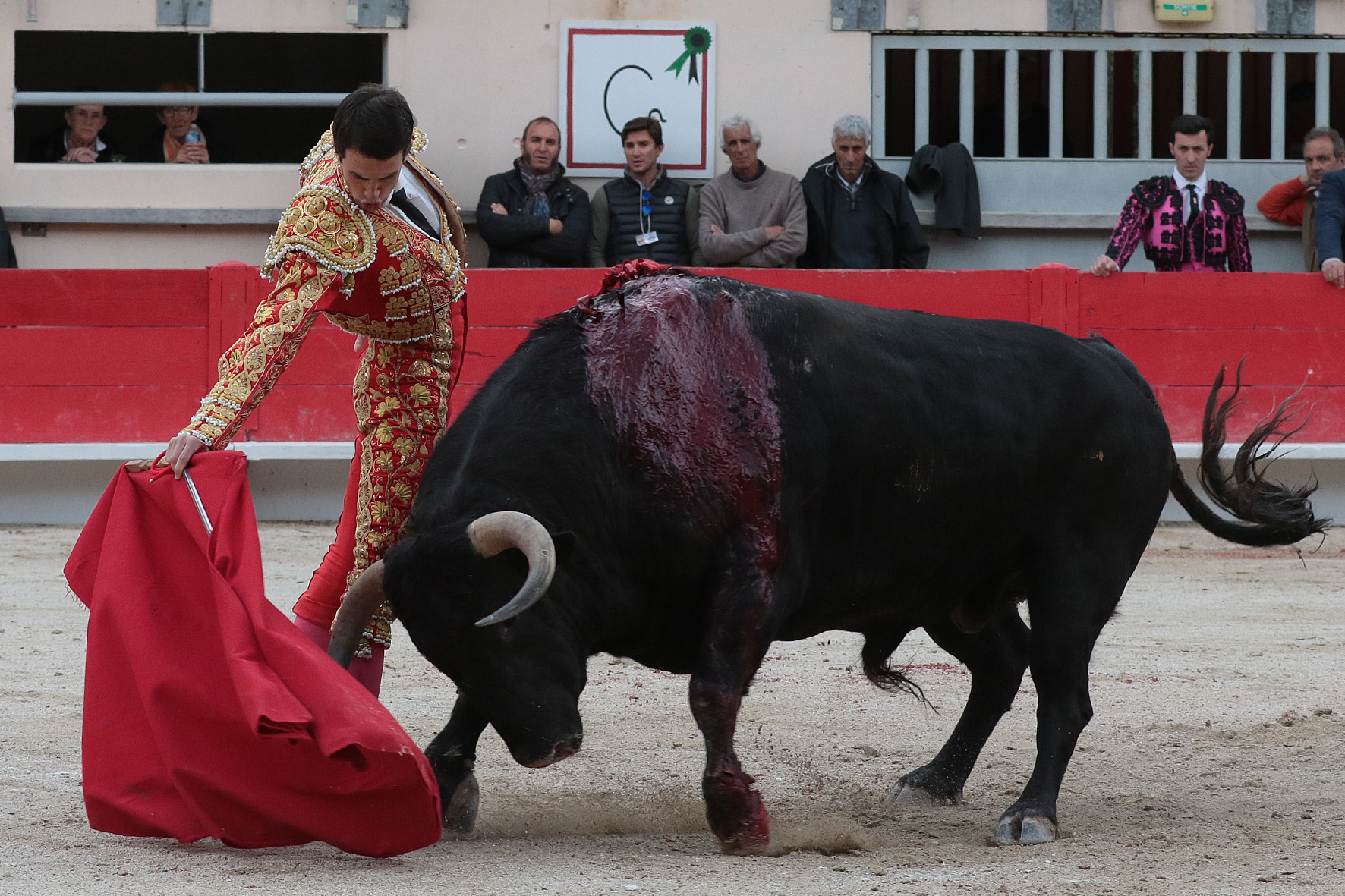 Saint Martin de Crau (Francia), martes 1 de mayo de 2018