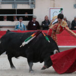 Saint Martin de Crau (Francia), martes 1 de mayo de 2018