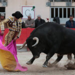 Saint Martin de Crau (Francia), martes 1 de mayo de 2018
