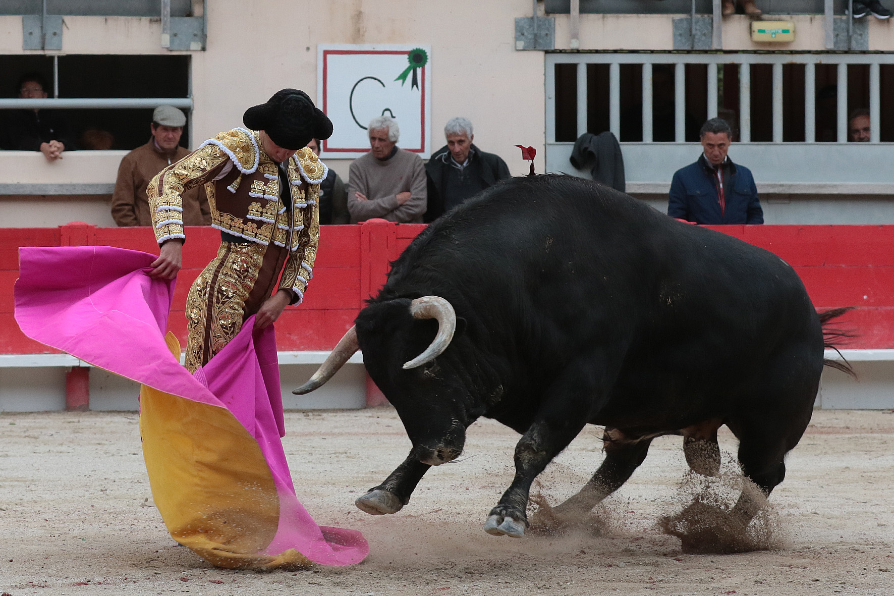 Saint Martin de Crau (Francia), martes 1 de mayo de 2018