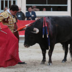 Saint Martin de Crau (Francia), martes 1 de mayo de 2018