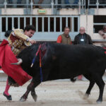 Saint Martin de Crau (Francia), martes 1 de mayo de 2018