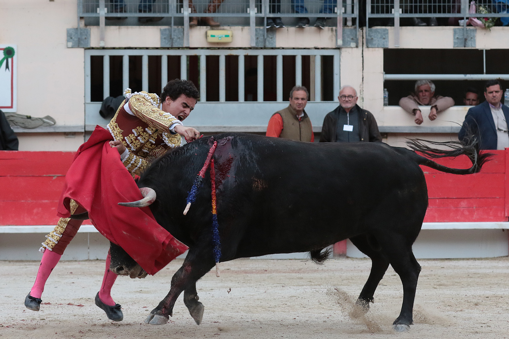 Saint Martin de Crau (Francia), martes 1 de mayo de 2018