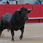 Nimes, 18 de mayo de 2018