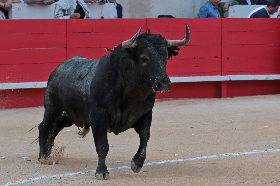 Nimes, 18 de mayo de 2018