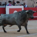 Nimes, 18 de mayo de 2018