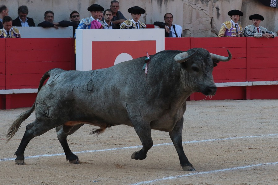 Nimes, 18 de mayo de 2018