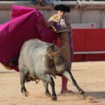 Nimes, 18 de mayo de 2018