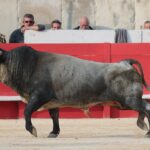Nimes, 18 de mayo de 2018