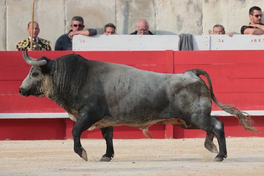 Nimes, 18 de mayo de 2018
