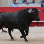 Nimes, 18 de mayo de 2018