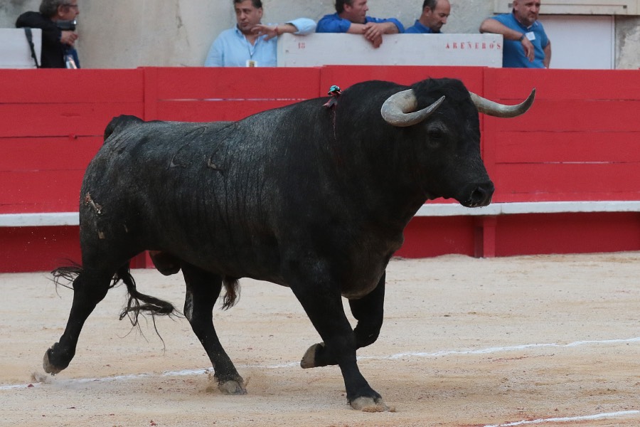 Nimes, 18 de mayo de 2018