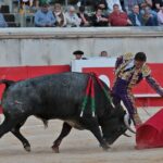 Nimes, 18 de mayo de 2018