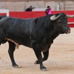 Nimes, 18 de mayo de 2018