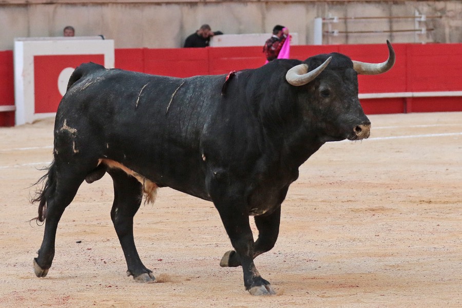 Nimes, 18 de mayo de 2018