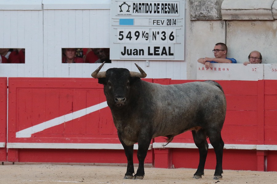 Nimes, 18 de mayo de 2018