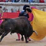 Nimes, 19 de mayo de 2018
