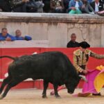 Nimes, 19 de mayo de 2018