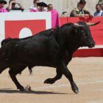 Nimes, matinal 19 de mayo de 2018