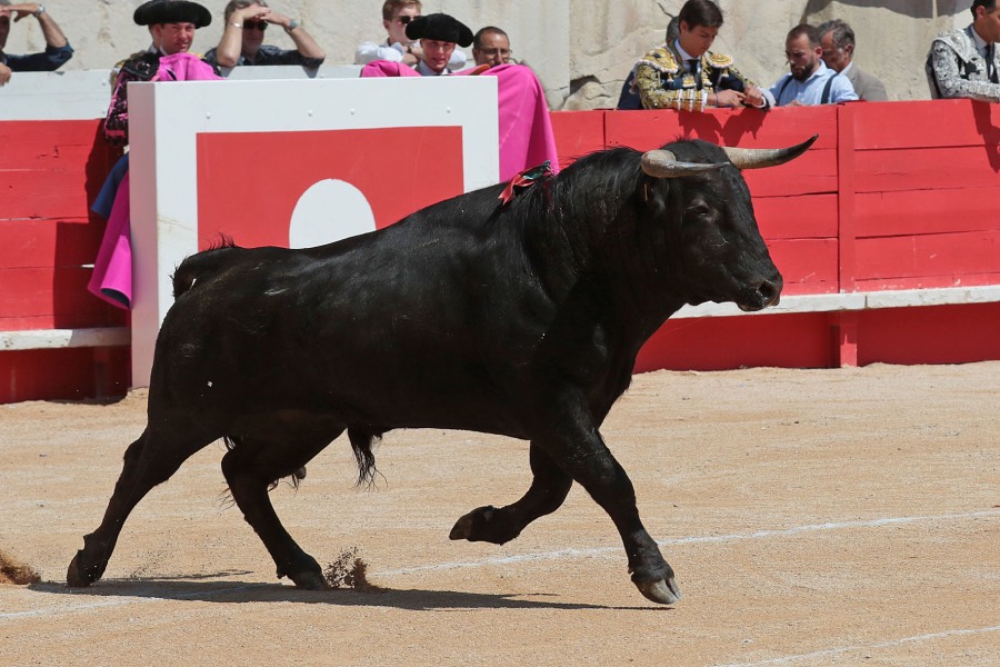 Nimes, matinal 19 de mayo de 2018