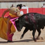 Nimes, matinal 19 de mayo de 2018