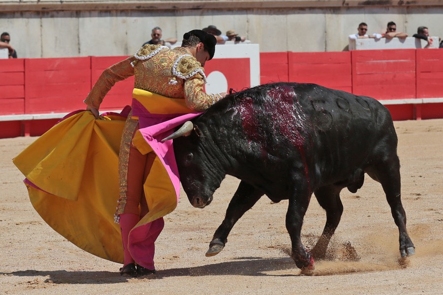 Nimes, matinal 19 de mayo de 2018