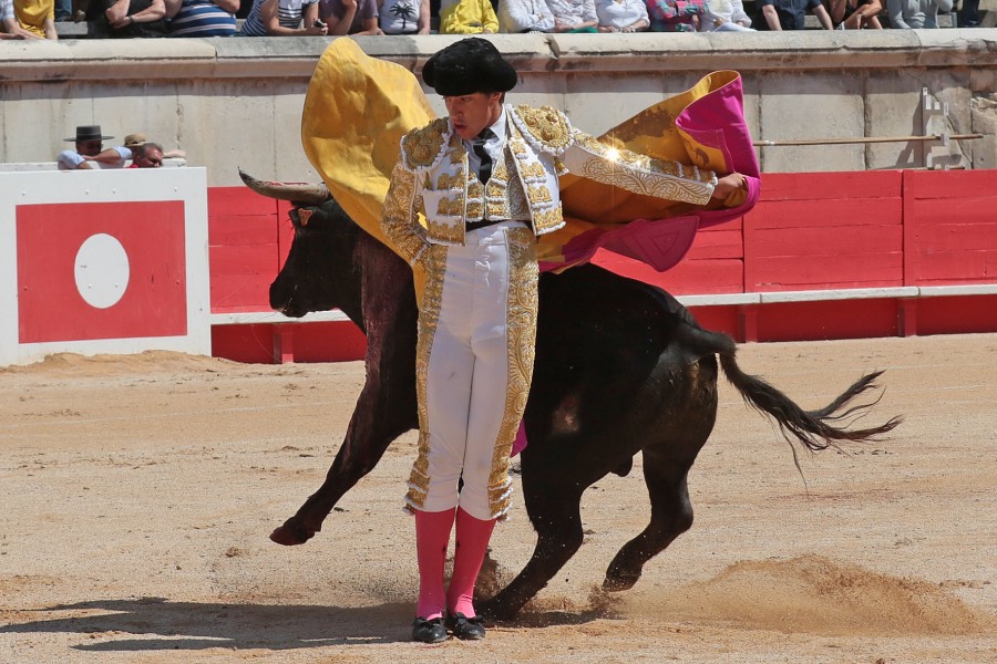 Nimes, matinal 19 de mayo de 2018