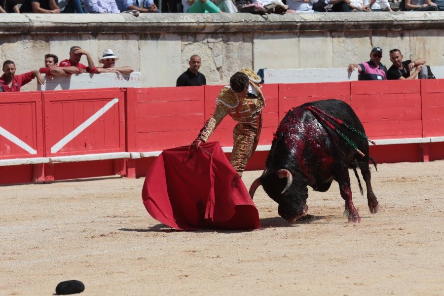 Nimes, matinal 19 de mayo de 2018