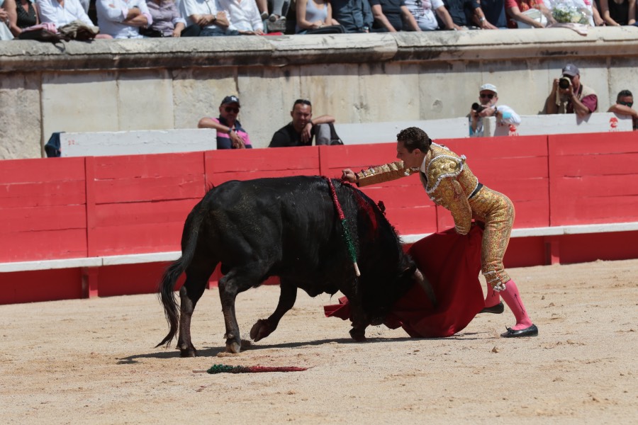 Nimes, matinal 19 de mayo de 2018