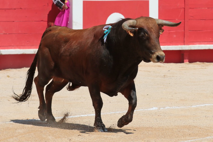 Nimes, matinal 19 de mayo de 2018