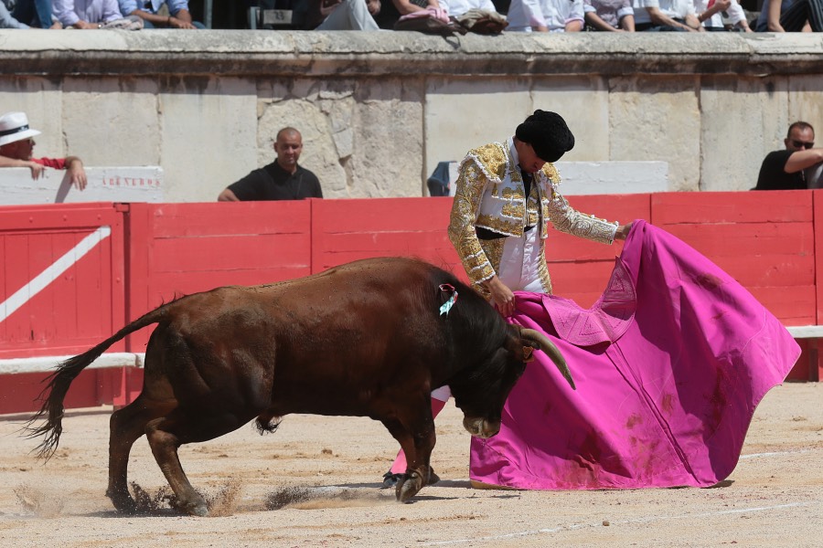 Nimes, matinal 19 de mayo de 2018
