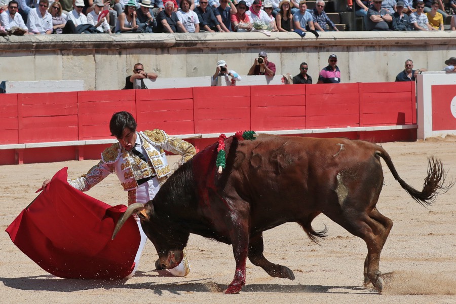 Nimes, matinal 19 de mayo de 2018