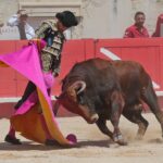 Nimes, matinal 19 de mayo de 2018
