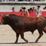 Nimes, matinal 19 de mayo de 2018