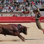 Nimes, matinal 19 de mayo de 2018
