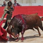 Nimes, matinal 19 de mayo de 2018