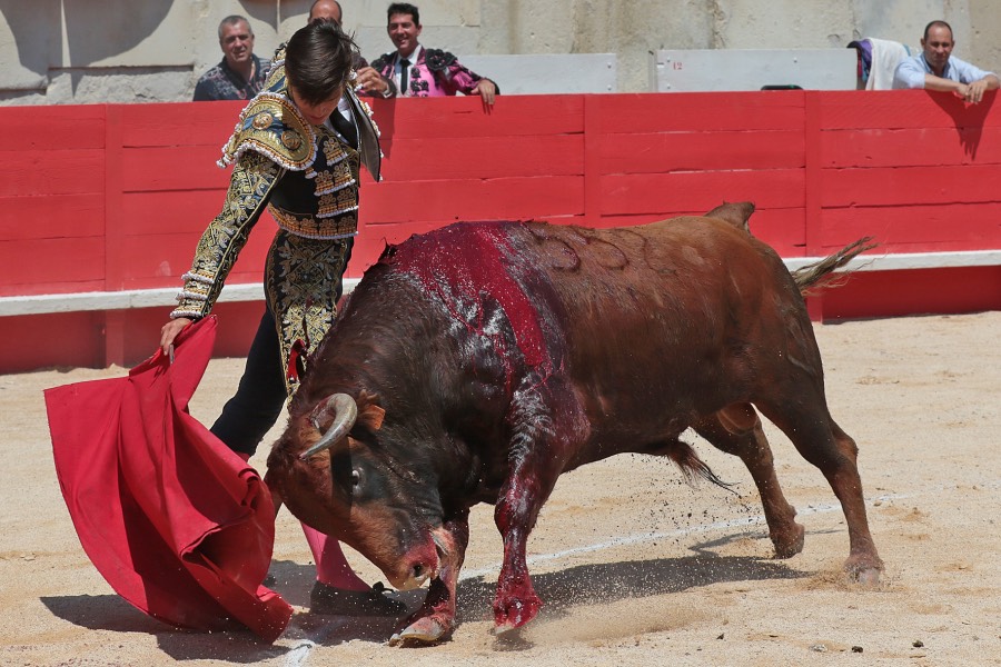 Nimes, matinal 19 de mayo de 2018