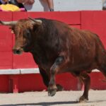 Nimes, matinal 19 de mayo de 2018