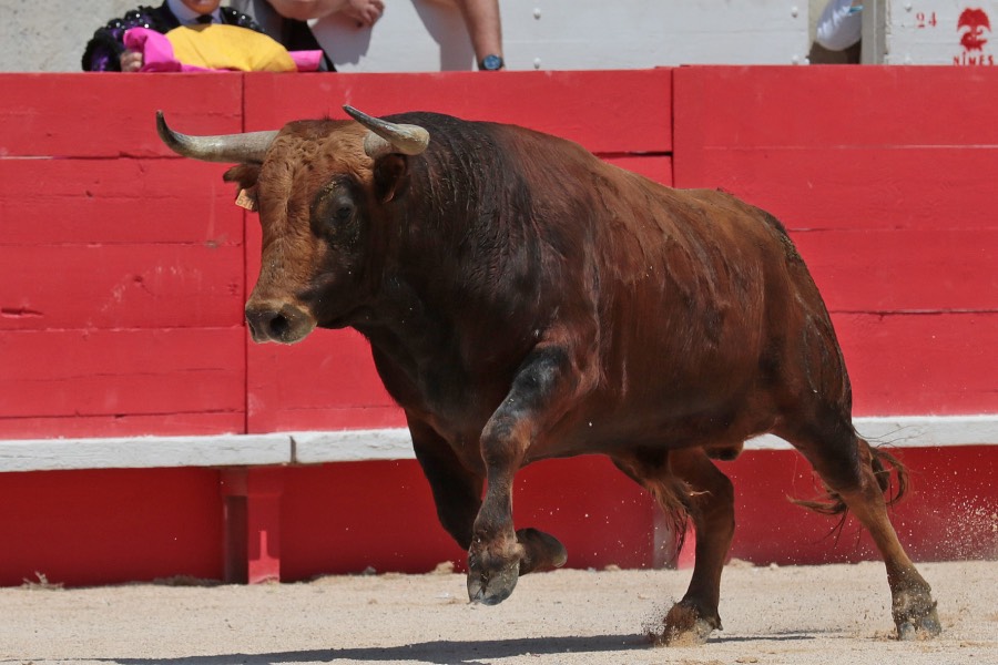 Nimes, matinal 19 de mayo de 2018