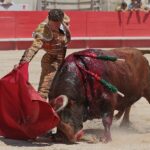 Nimes, matinal 19 de mayo de 2018