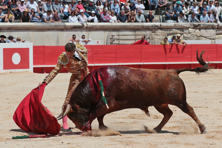 Nimes, matinal 19 de mayo de 2018