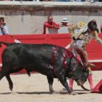 Nimes, matinal 19 de mayo de 2018