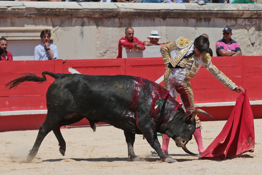 Nimes, matinal 19 de mayo de 2018