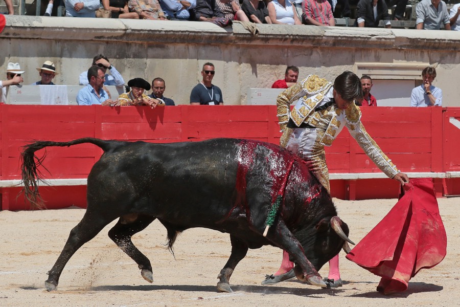 Nimes, matinal 19 de mayo de 2018