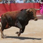 Nimes, matinal 19 de mayo de 2018
