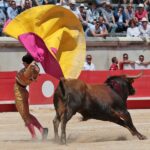 Nimes, matinal 19 de mayo de 2018