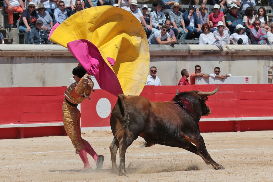 Nimes, matinal 19 de mayo de 2018
